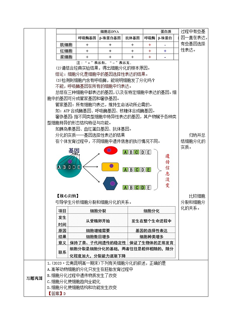 人教版（2019）高中生物必修一 6.2《细胞的分化》教案03