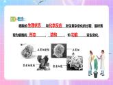 人教版（2019）高中生物必修一 6.3《细胞的衰老和死亡》课件