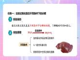 人教版（2019）高中生物必修一 5.1.1《酶的作用和本质》课件