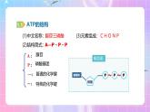人教版（2019）高中生物必修一 5.2《细胞的能量“货币”ATP》课件