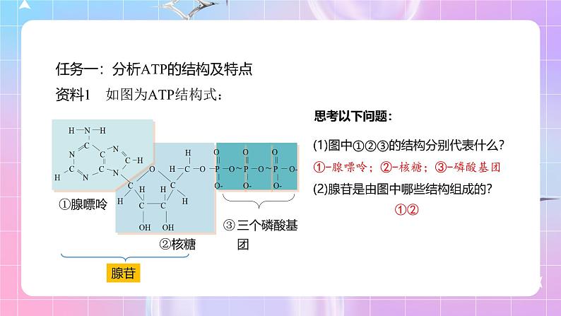 人教版（2019）高中生物必修一 5.2《细胞的能量“货币”ATP》课件05