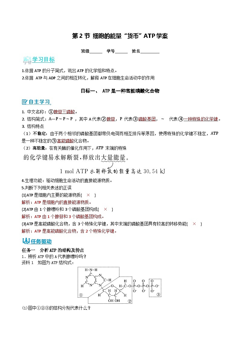 人教版（2019）高中生物必修一 5.2《细胞的能量“货币”ATP》导学案（原卷+解析卷）01