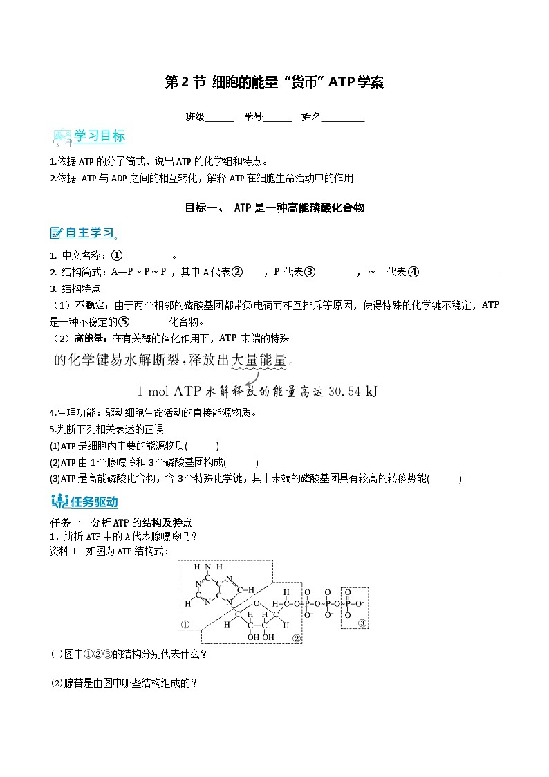 人教版（2019）高中生物必修一 5.2《细胞的能量“货币”ATP》导学案（原卷+解析卷）01