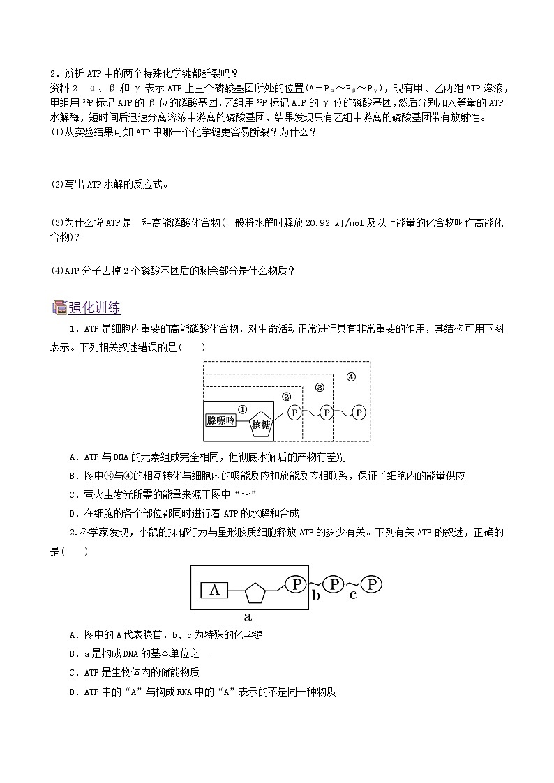 人教版（2019）高中生物必修一 5.2《细胞的能量“货币”ATP》导学案（原卷+解析卷）02