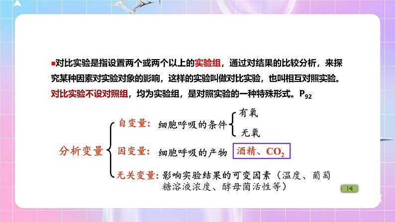 人教版（2019）高中生物必修一 5.3.1《细胞呼吸的方式和有氧呼吸》课件07