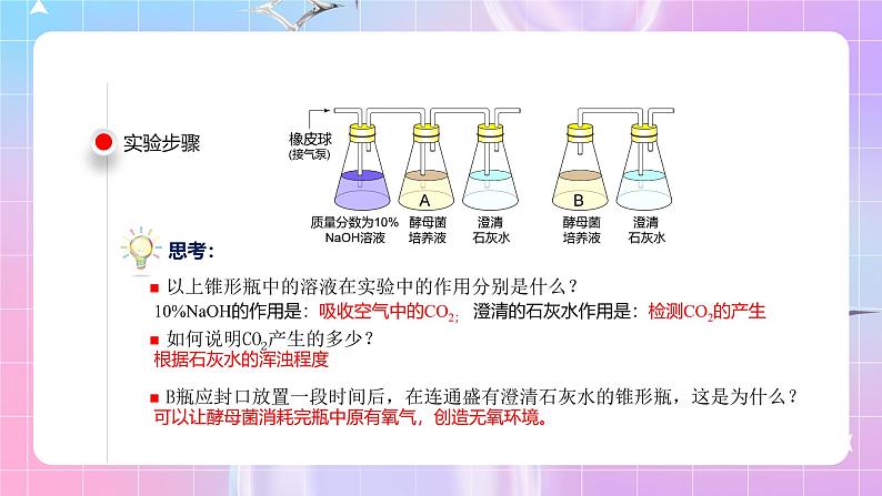 人教版（2019）高中生物必修一 5.3.1《细胞呼吸的方式和有氧呼吸》课件08