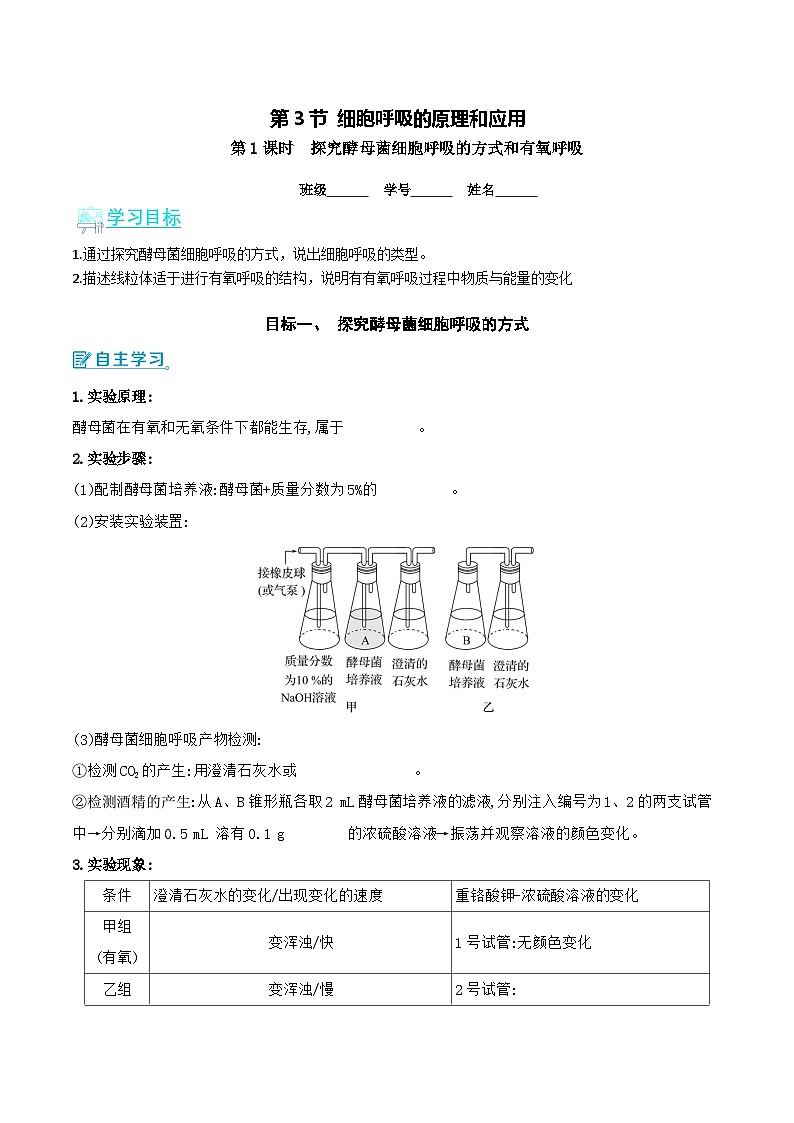 人教版（2019）高中生物必修一 5.3.1《细胞呼吸的方式和有氧呼吸》导学案（原卷+解析卷）01