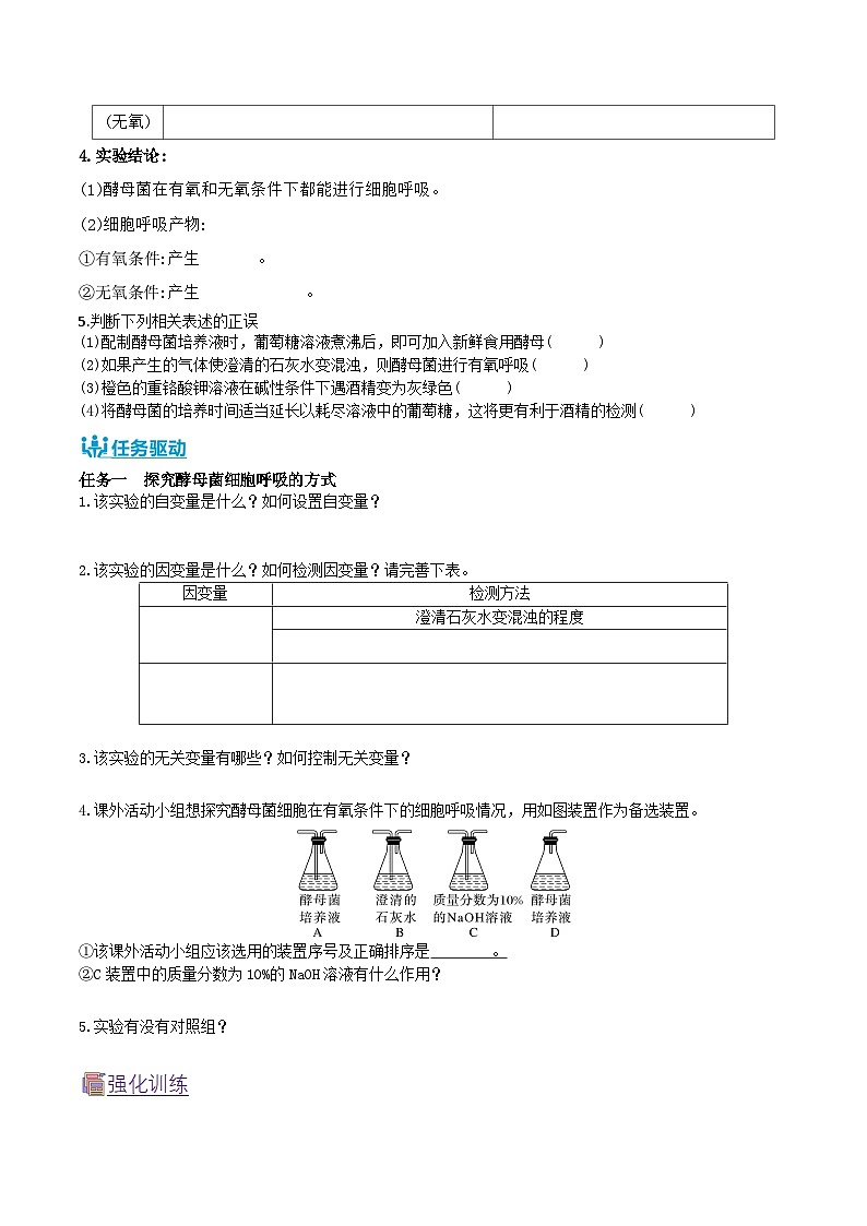 人教版（2019）高中生物必修一 5.3.1《细胞呼吸的方式和有氧呼吸》导学案（原卷+解析卷）02