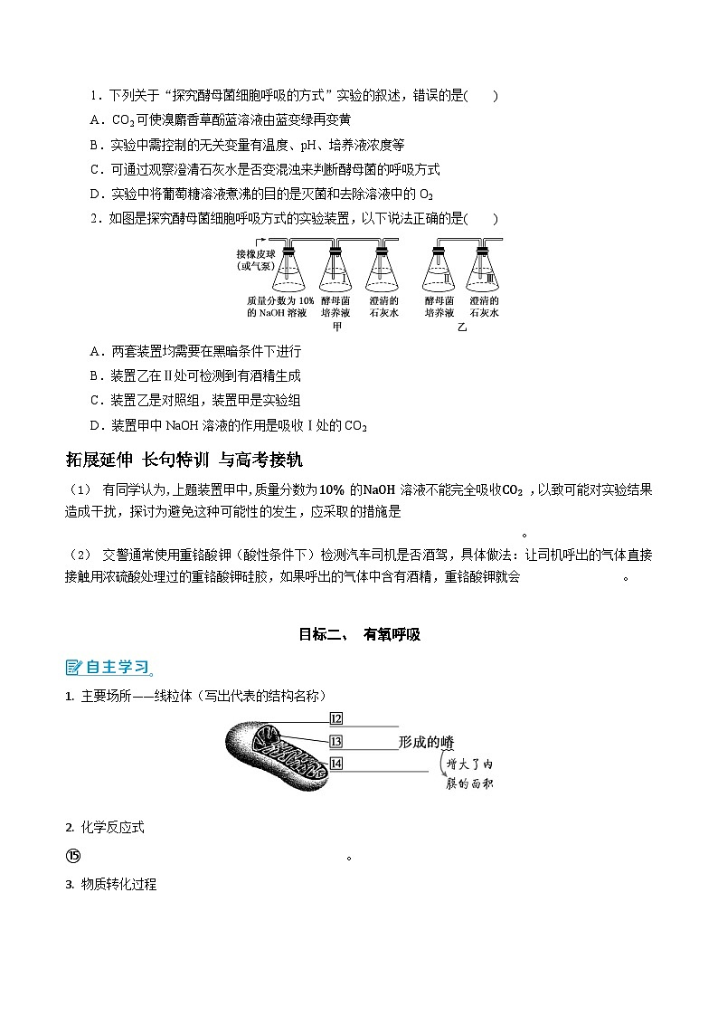 人教版（2019）高中生物必修一 5.3.1《细胞呼吸的方式和有氧呼吸》导学案（原卷+解析卷）03
