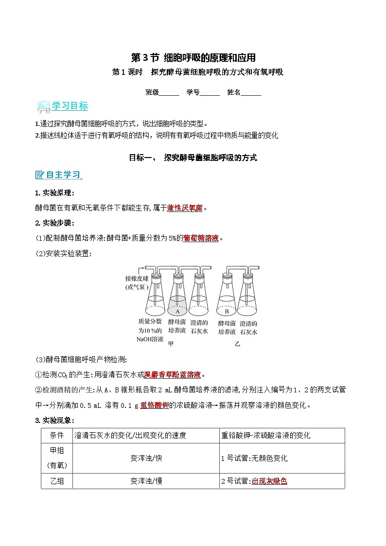 人教版（2019）高中生物必修一 5.3.1《细胞呼吸的方式和有氧呼吸》导学案（原卷+解析卷）01