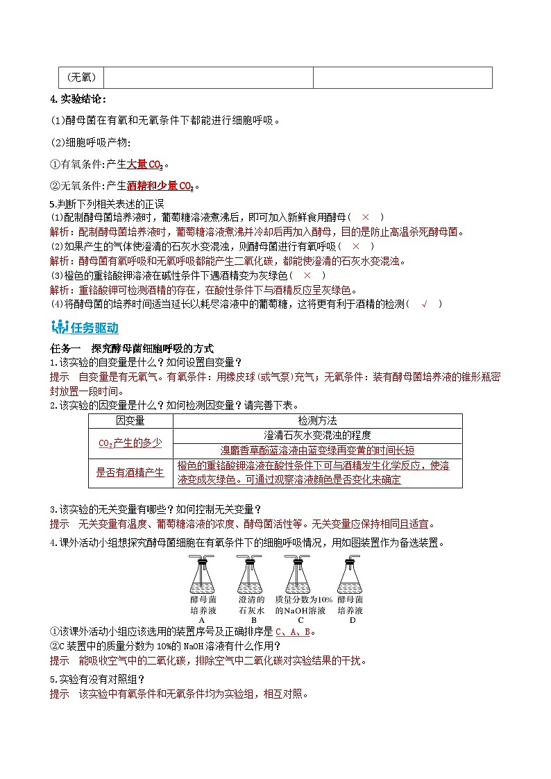 人教版（2019）高中生物必修一 5.3.1《细胞呼吸的方式和有氧呼吸》导学案（原卷+解析卷）02