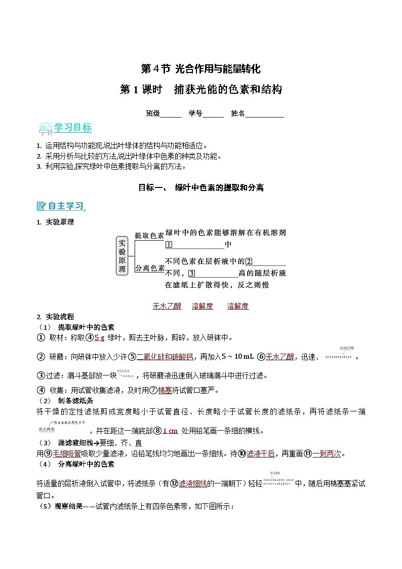 人教版（2019）高中生物必修一 5.4.1《捕获光能的色素和结构》导学案（原卷+解析卷）01