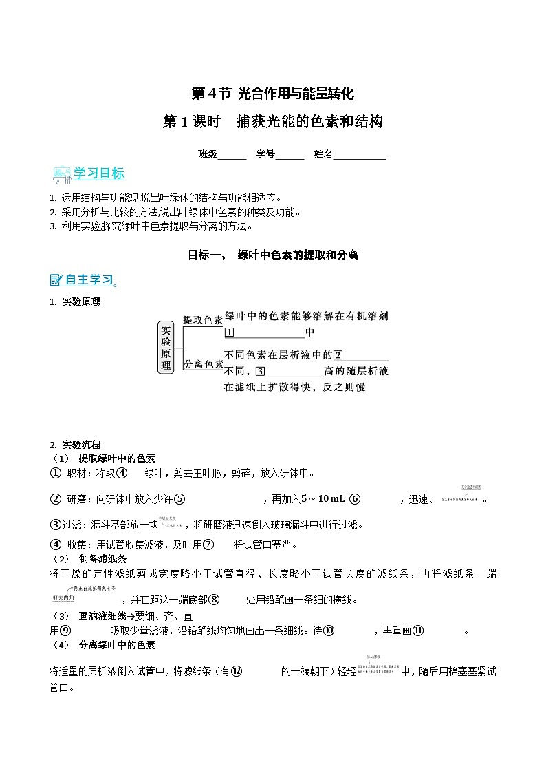 人教版（2019）高中生物必修一 5.4.1《捕获光能的色素和结构》导学案（原卷+解析卷）01