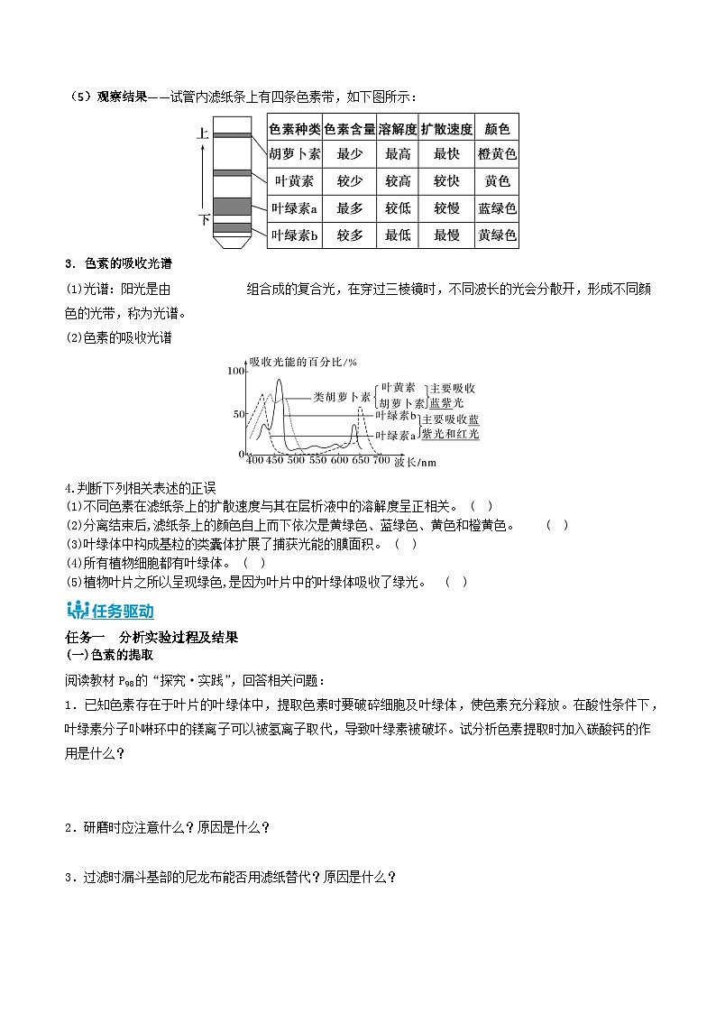 人教版（2019）高中生物必修一 5.4.1《捕获光能的色素和结构》导学案（原卷+解析卷）02