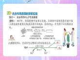 人教版（2019）高中生物必修一 5.4.2《光合作用的原理》课件