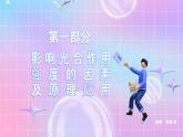 人教版（2019）高中生物必修一 5.4.3《光合作用的原理和应用》课件