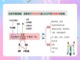 人教版（2019）高中生物必修一 5.4.3《光合作用的原理和应用》课件