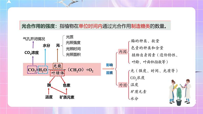 人教版（2019）高中生物必修一 5.4.3《光合作用的原理和应用》课件04