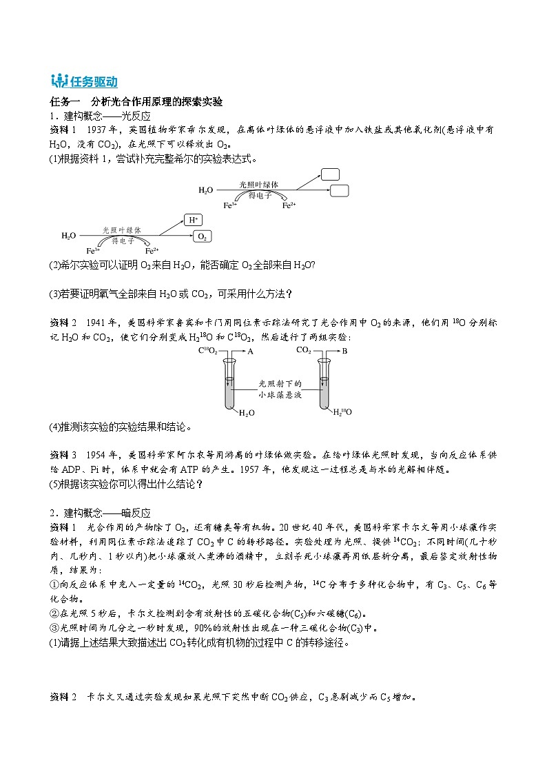 人教版（2019）高中生物必修一 5.4.2&5.4.3《光合作用的原理和应用》导学案（原卷版）第3页