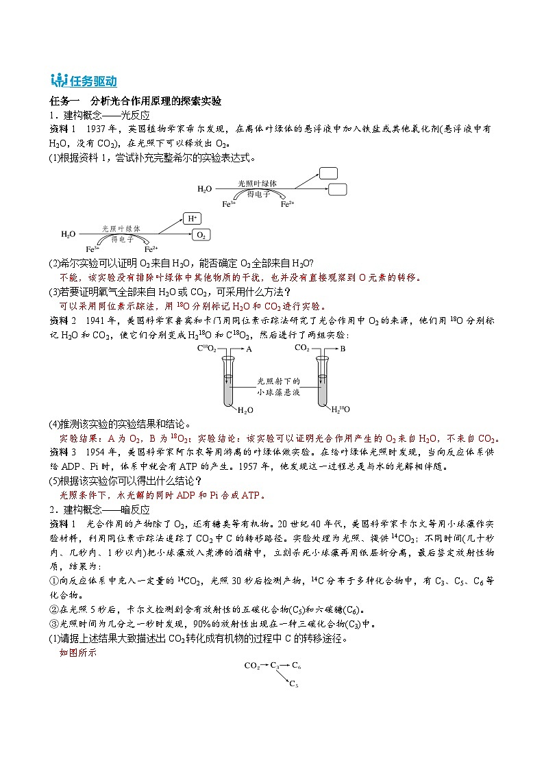 人教版（2019）高中生物必修一 5.4.2&5.4.3《光合作用的原理和应用》导学案（解析版）第3页