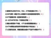 人教版（2019）高中生物必修一 第5章《细胞的能量供应和利用》单元复习课件