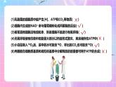 人教版（2019）高中生物必修一 第5章《细胞的能量供应和利用》单元复习课件