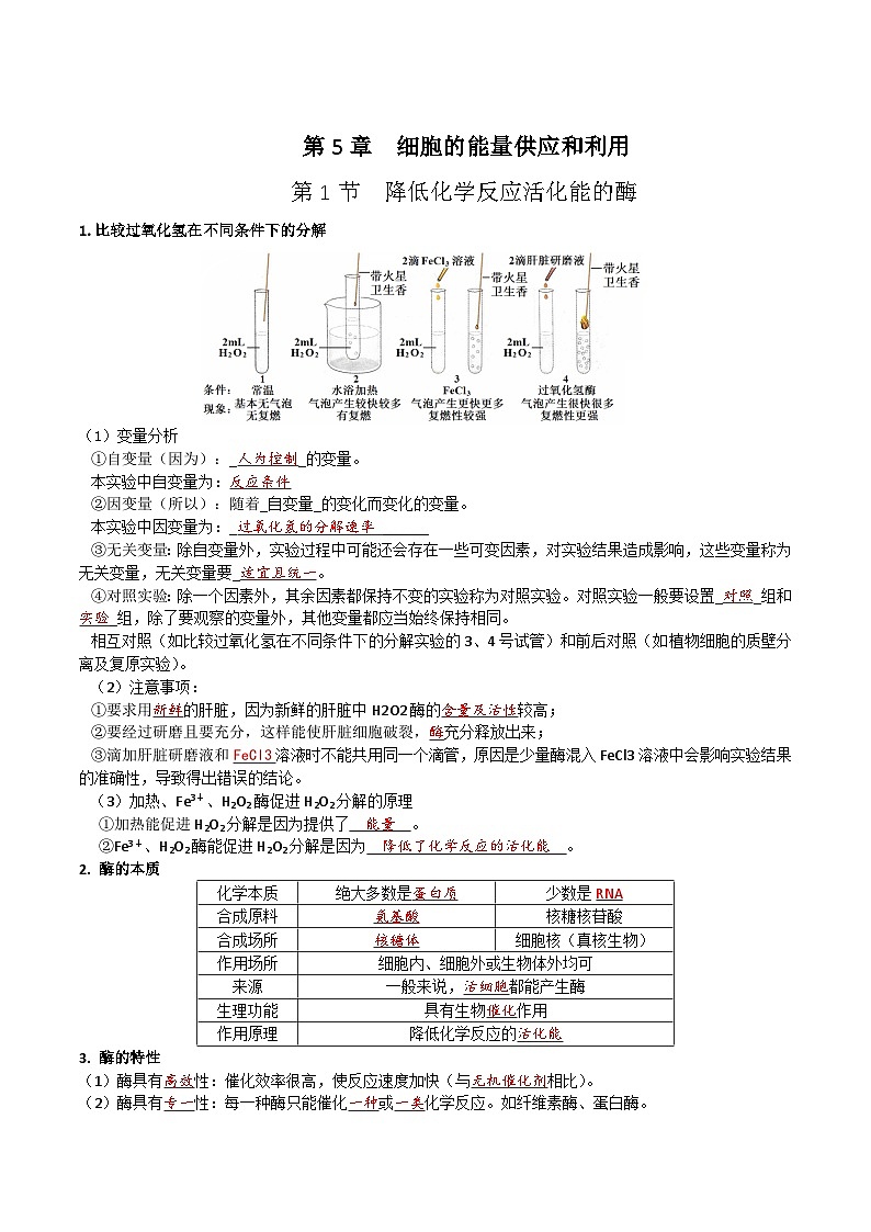 人教版（2019）高中生物必修一 第5章《细胞的能量供应和利用》单元知识清单（答案版）01