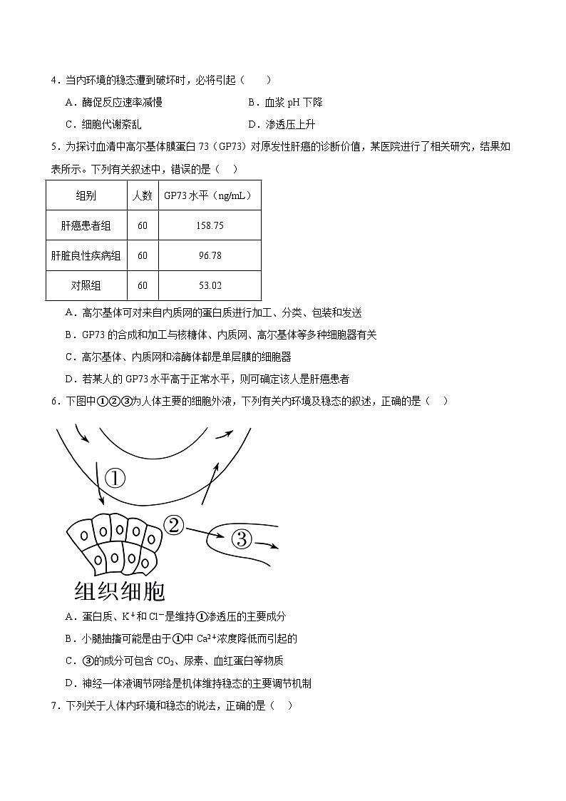 人教版高二生物选择性必修一 1.2 《内环境的稳态》分层练习（原卷+解析卷）02
