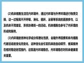 人教版高二生物选择性必修一 第1章 《人体的内环境与稳态》复习课件