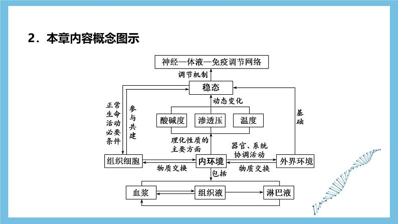 人教版高二生物选择性必修一 第1章 《人体的内环境与稳态》复习课件04