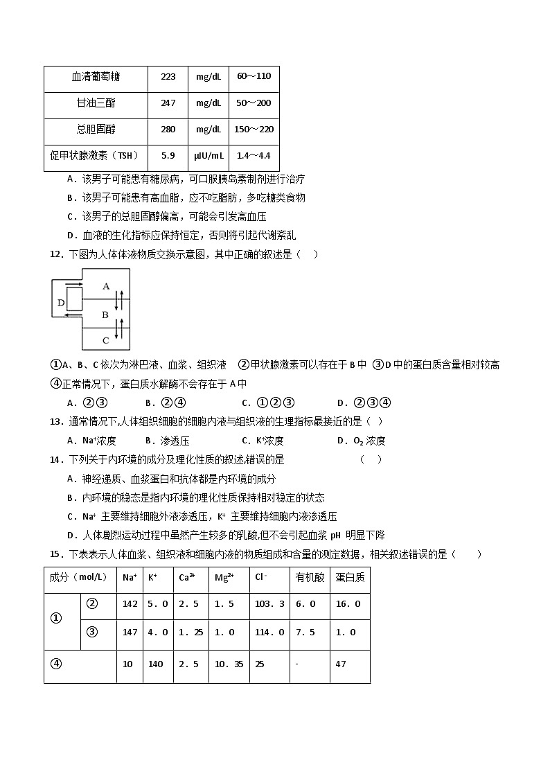 人教版高二生物选择性必修一 第1章 《人体的内环境与稳态》分层练习（原卷+解析卷）03