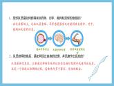 人教版高二生物選擇性必修一 2.1 《神經(jīng)系統(tǒng)的結(jié)構(gòu)基礎(chǔ)》課件