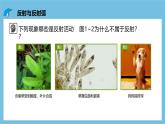 人教版高二生物选择性必修一 2.2 《神经调节的基本方式》课件