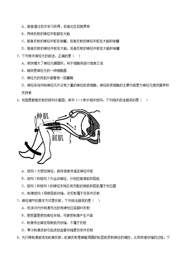 人教版高二生物选择性必修一 2.2 《神经调节的基本方式》分层练习（原卷+解析卷）02