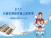 人教版高二生物选择性必修一 2.3.1 《兴奋在神经纤维上的传导》课件