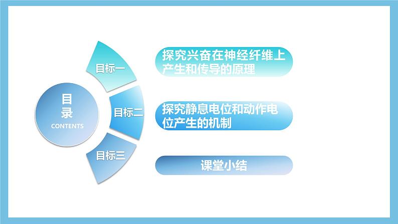 人教版高二生物选择性必修一 2.3.1 《兴奋在神经纤维上的传导》课件03