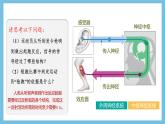 人教版高二生物选择性必修一 2.3.1 《兴奋在神经纤维上的传导》课件