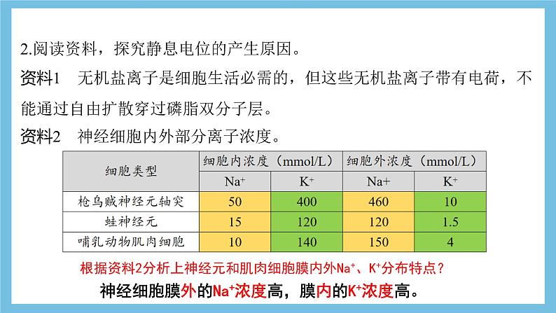 人教版高二生物选择性必修一 2.3.1 《兴奋在神经纤维上的传导》课件08