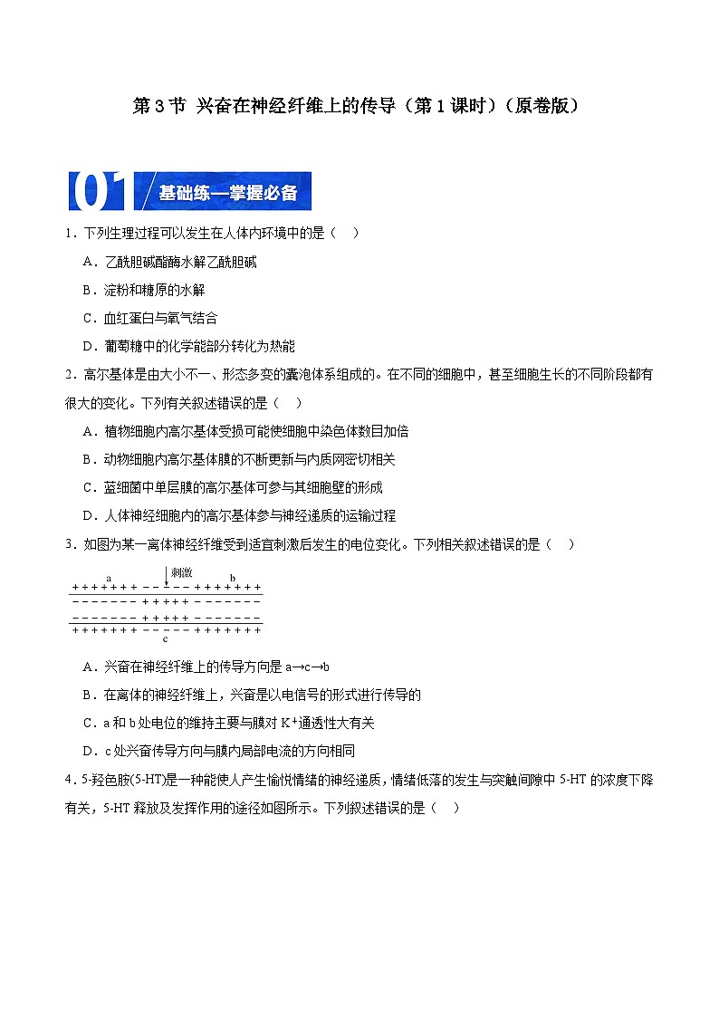 人教版高二生物选择性必修一 2.3.1 《兴奋在神经纤维上的传导》分层练习（原卷版）第1页