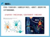 人教版高二生物选择性必修一 2.3.2 《兴奋在神经纤维上的传导》课件
