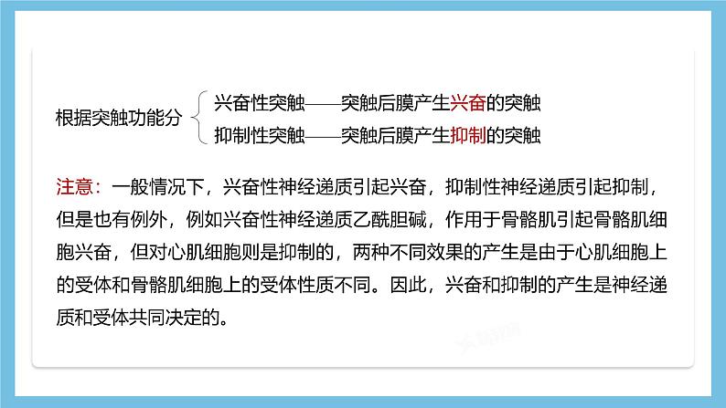 人教版高二生物选择性必修一 2.3.2 《兴奋在神经纤维上的传导》课件第8页