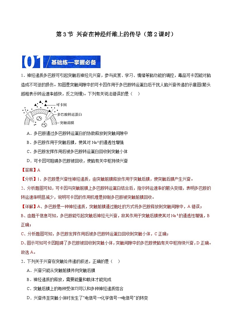 人教版高二生物选择性必修一 2.3.2 《兴奋在神经纤维上的传导》分层练习（解析版）第1页