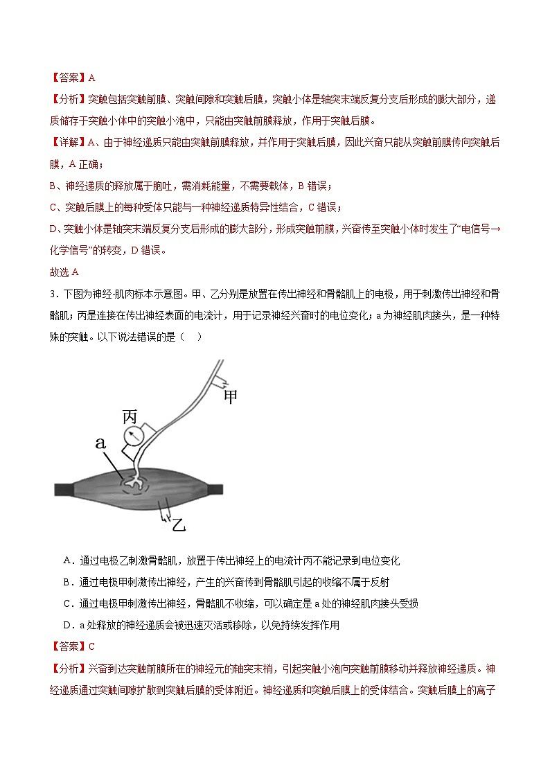 人教版高二生物选择性必修一 2.3.2 《兴奋在神经纤维上的传导》分层练习（解析版）第2页