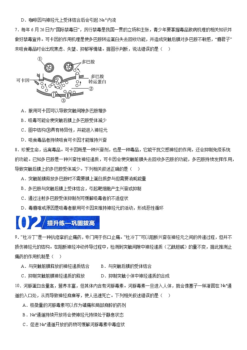 人教版高二生物选择性必修一 2.3.2 《兴奋在神经纤维上的传导》分层练习（原卷版）第3页