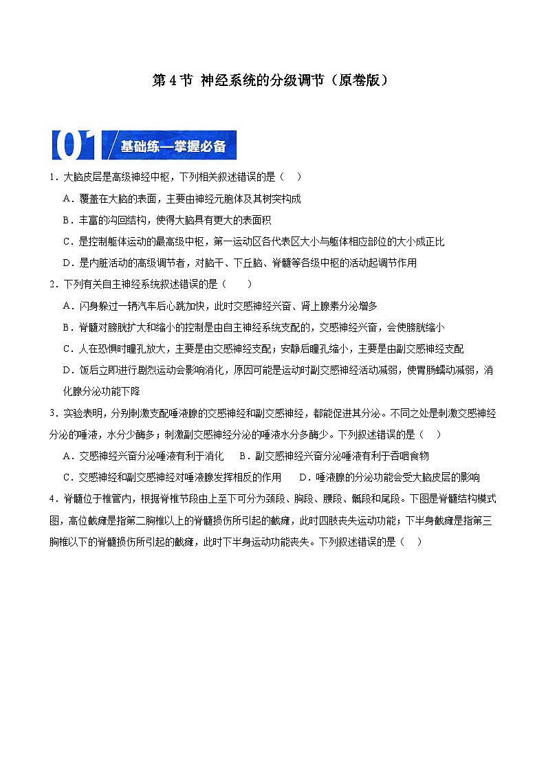 人教版高二生物选择性必修一 2.4 《神经系统的分级调节》分层练习（原卷+解析卷）01