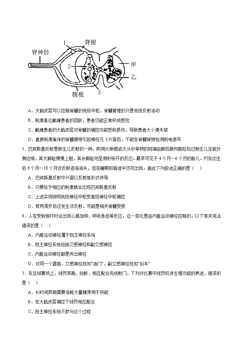 人教版高二生物选择性必修一 2.4 《神经系统的分级调节》分层练习（原卷+解析卷）02