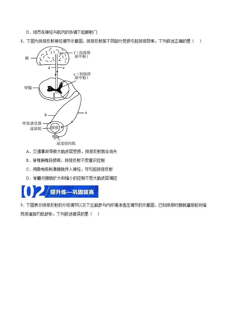人教版高二生物选择性必修一 2.4 《神经系统的分级调节》分层练习（原卷+解析卷）03