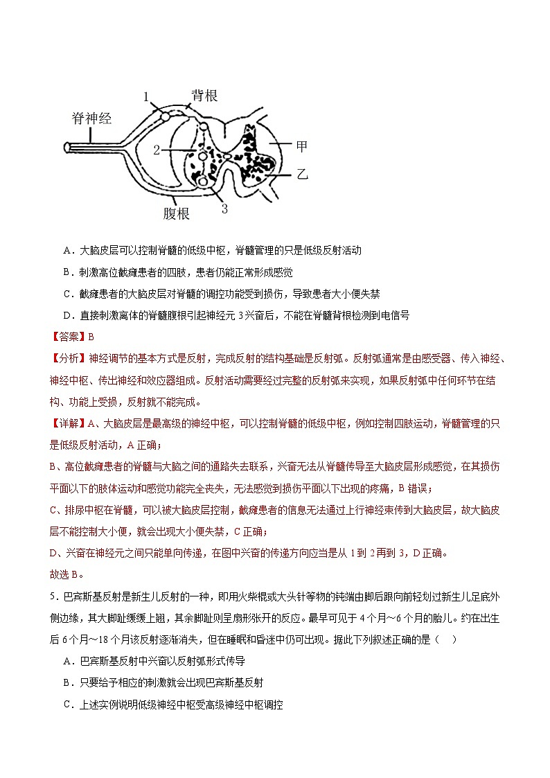 人教版高二生物选择性必修一 2.4 《神经系统的分级调节》分层练习（原卷+解析卷）03