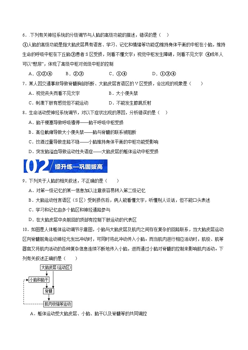 人教版高二生物选择性必修一 2.5 《人脑的高级功能》分层练习（原卷版）第2页