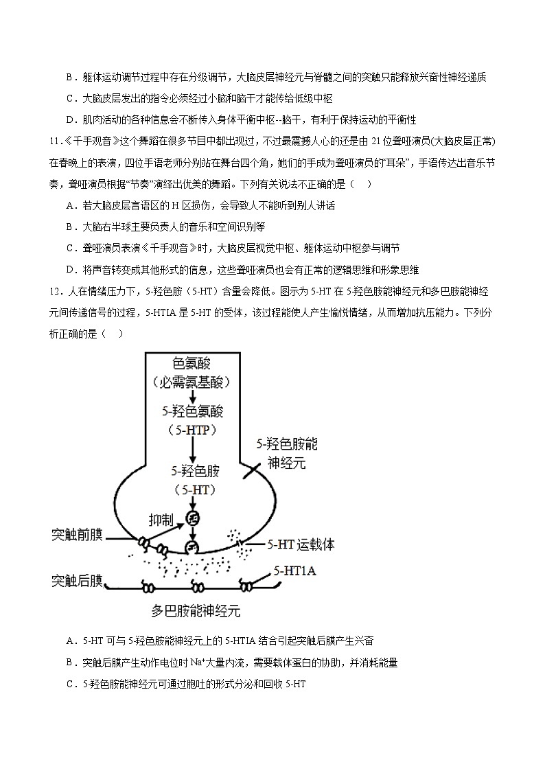 人教版高二生物选择性必修一 2.5 《人脑的高级功能》分层练习（原卷版）第3页